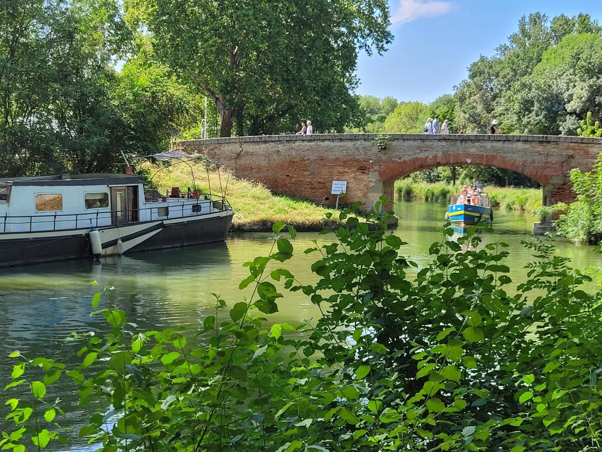 Chambre Sud Chez Habitant Toulouse Exteriér fotografie