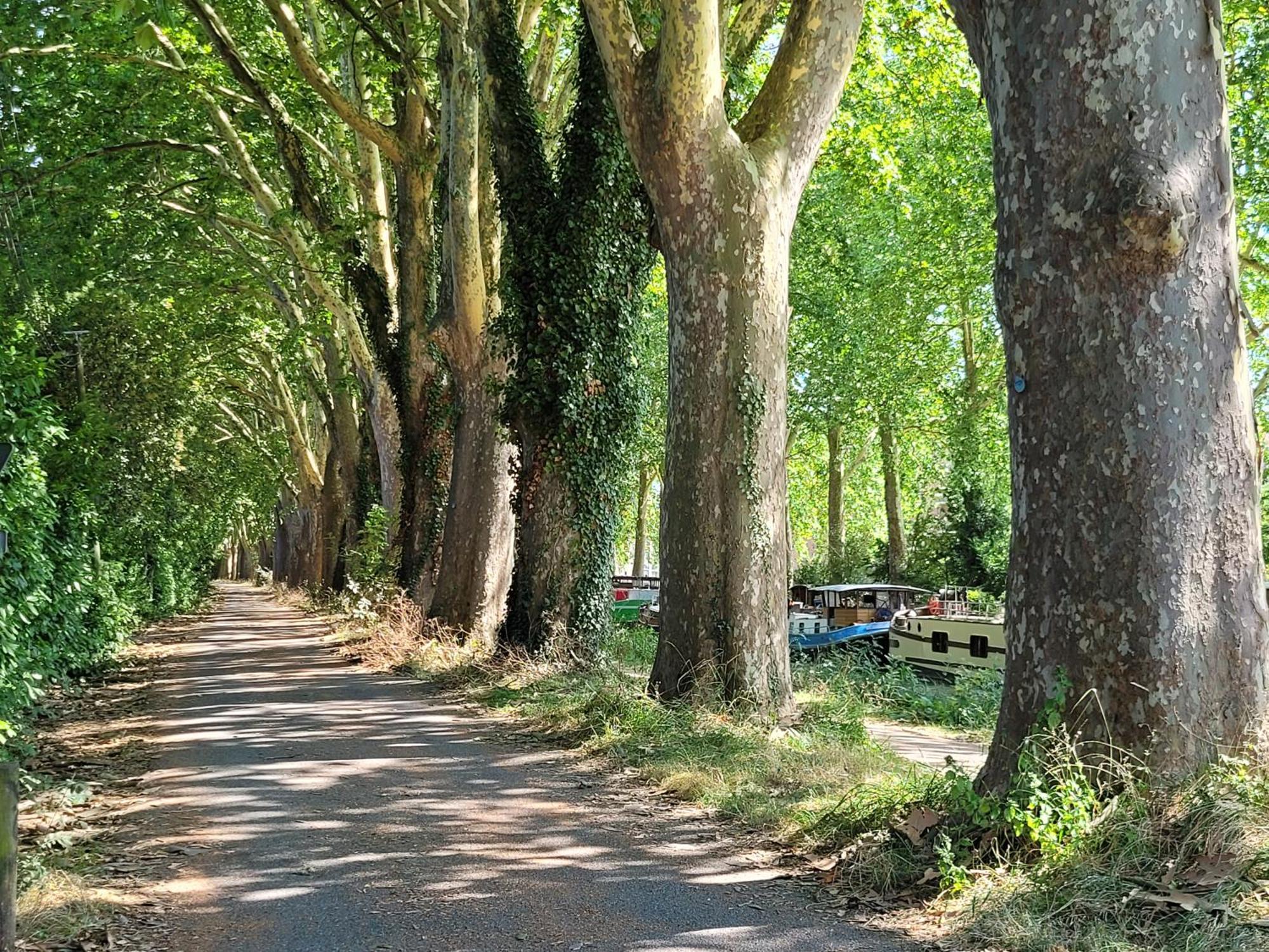 Chambre Sud Chez Habitant Toulouse Exteriér fotografie